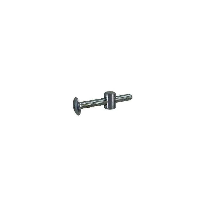 Screw 6x50mm + 10x14mm threaded assembly pin in galvanized steel, 4 pieces.