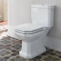 Sedile WC DURAVIT, modello 1930 foro ottagonale.