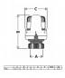 Tête thermostatique C pour robinet radiateur Caleffi