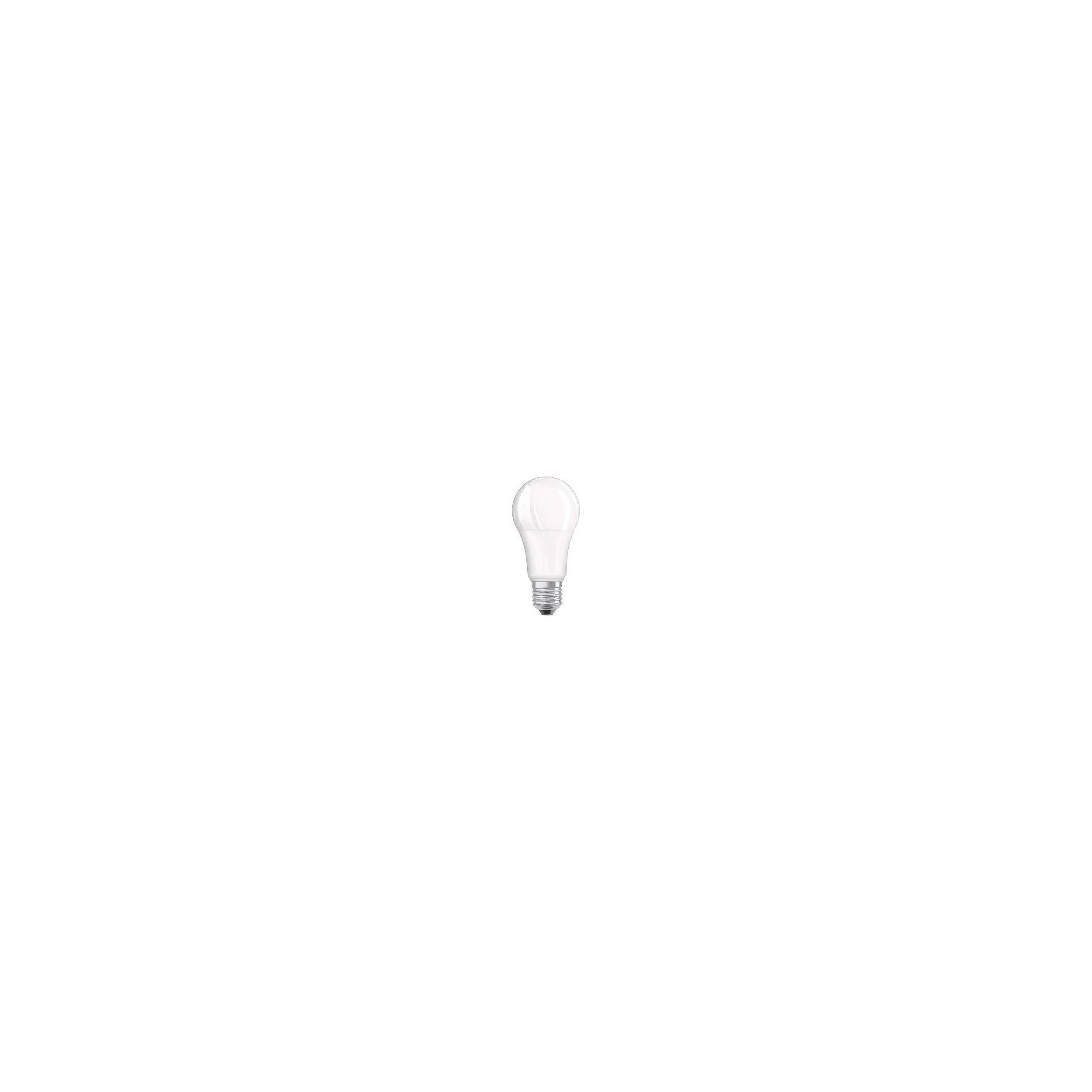 Ampoule LED dépolie standard E27, 10W , blanc chaud.