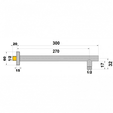 Bras de douche murale chromé 15x21, longueur 300 mm 