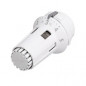 Thermostatic head with liquid technology RAW 5014