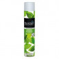 Boldair battericida alla menta fresca 500ml