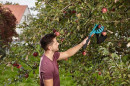 Fruit picker combisystem