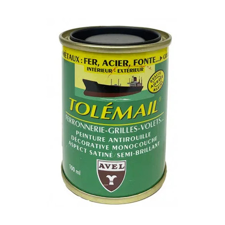 Tolémail spécial ferronnerie 100ml noir.