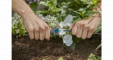 Chiave di montaggio per microgocciolatori