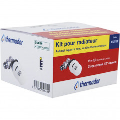 Kit pour radiateur, robinet équerre 15x21 (1/2") avec tête thermostatique TTC