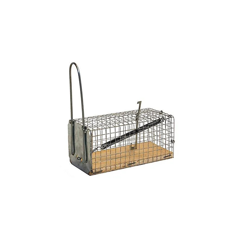 Single-entry galvanized mesh mouse trap with wooden base