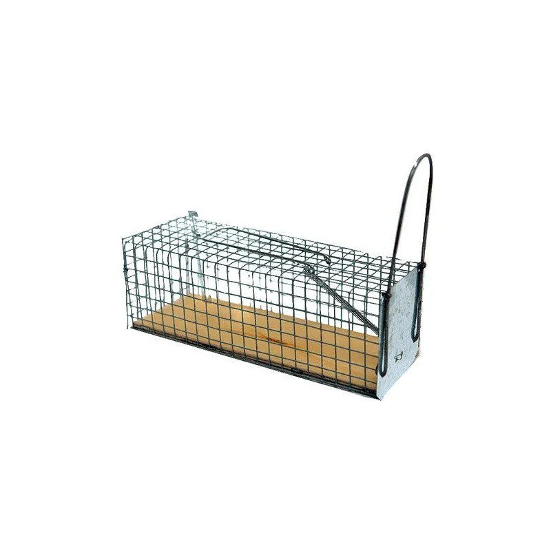 Single-entry galvanized mesh rat trap with wooden base