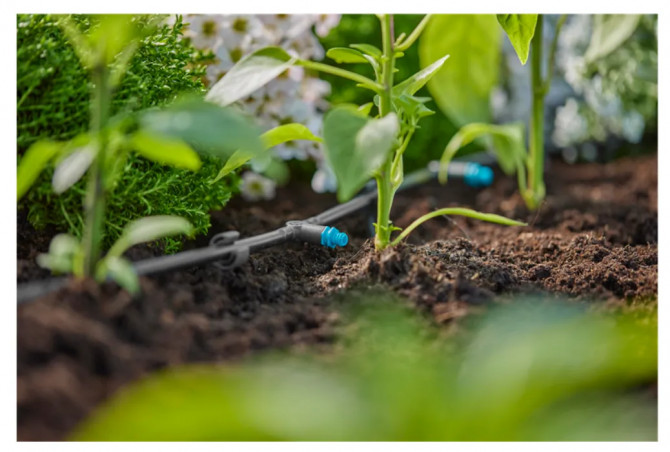 Goutteur arrosage en ligne auto-régulant pour irrigation, 2 l/h, 10 pièces