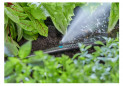 Micro-sprinkler for narrow-area watering, 5 pieces