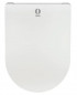 ASEO Delta heated seat toilet seat.