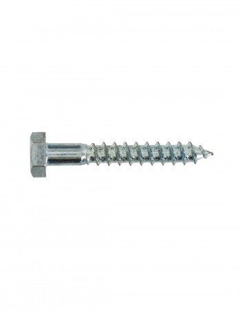 Zinc-plated steel lag bolt 6x30, 6 pcs.