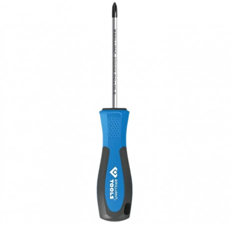 Phillips screwdriver PH2, magnetized, length 100 mm