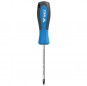 Phillips screwdriver PH2, magnetized, length 100 mm