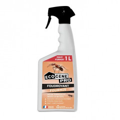 ECOGENE pro maxi spray antiformiche 1L.