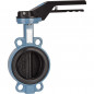 Butterfly valve with centering lugs DN 80mm FT/I/E - 1150.