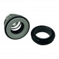 Mechanical seal for JET 200/300 surface pumps