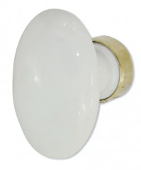 Bouton simple ovale en porcelaine blanche et laiton poli.