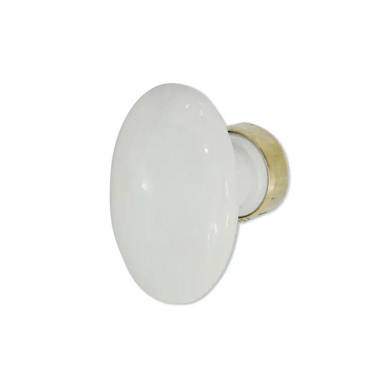 Bouton simple ovale en porcelaine blanche et laiton poli.