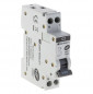 3kA phase/neutral 2 amp circuit breaker.