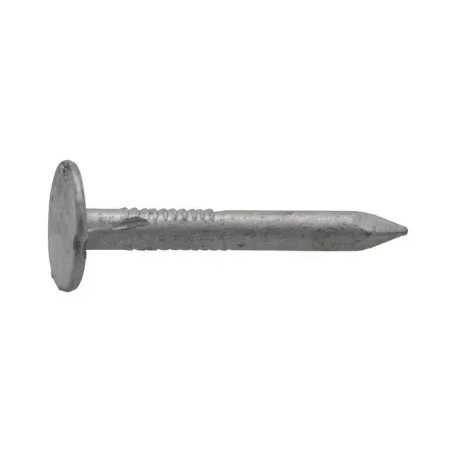 Wide flat-headed point in galvanized steel, 2.4x27mm, 280g.