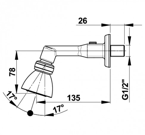 Adjustable showerhead on surface-mounted shower arm.