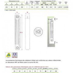 Chauffage central fonte aluminium 2 éléments blanc KLASS 350, 170w