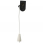 Light pull switch, two-pole, 2A, 250V