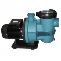 PULSO 1.5 hp single-phase 22m3/h filter pump