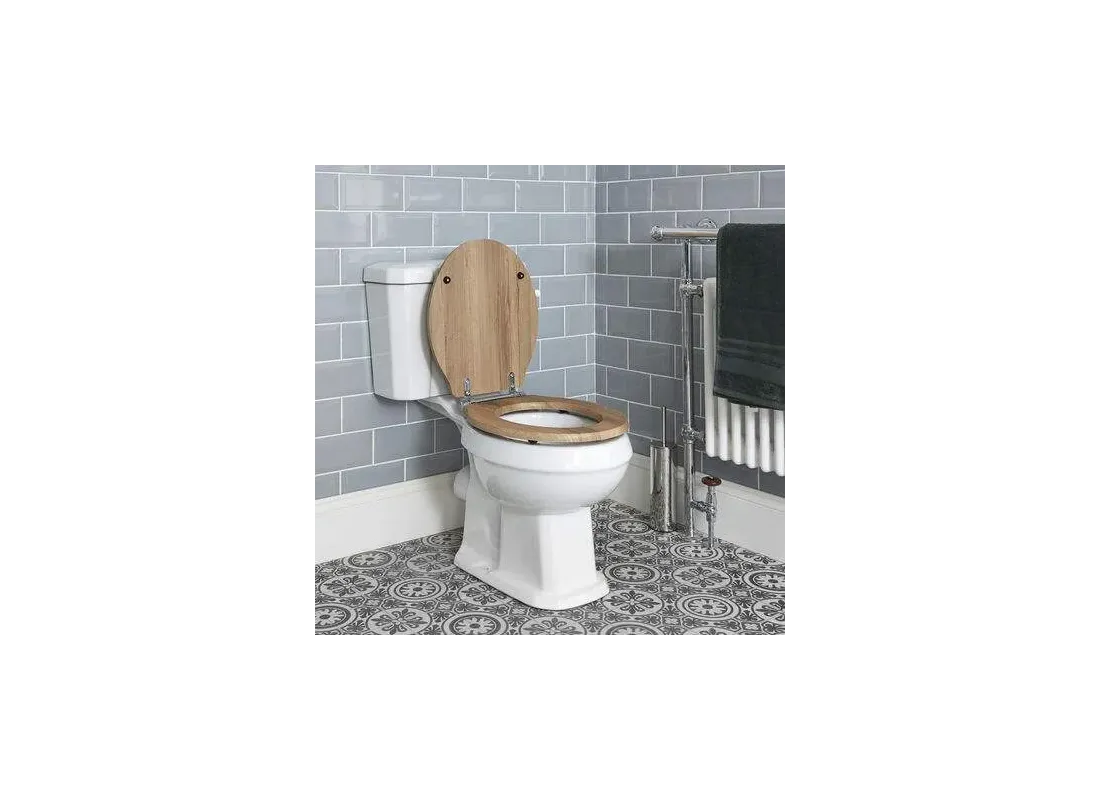 Toilet seat