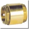 Spring-loaded check valve