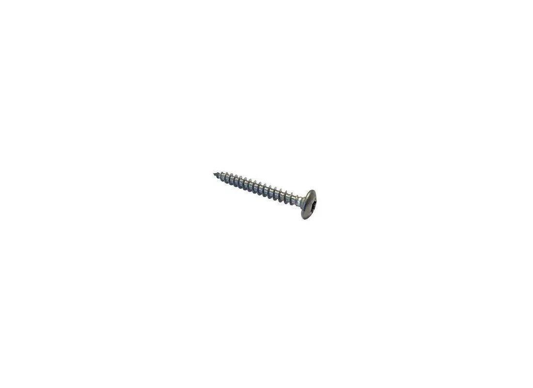 Stainless steel screws