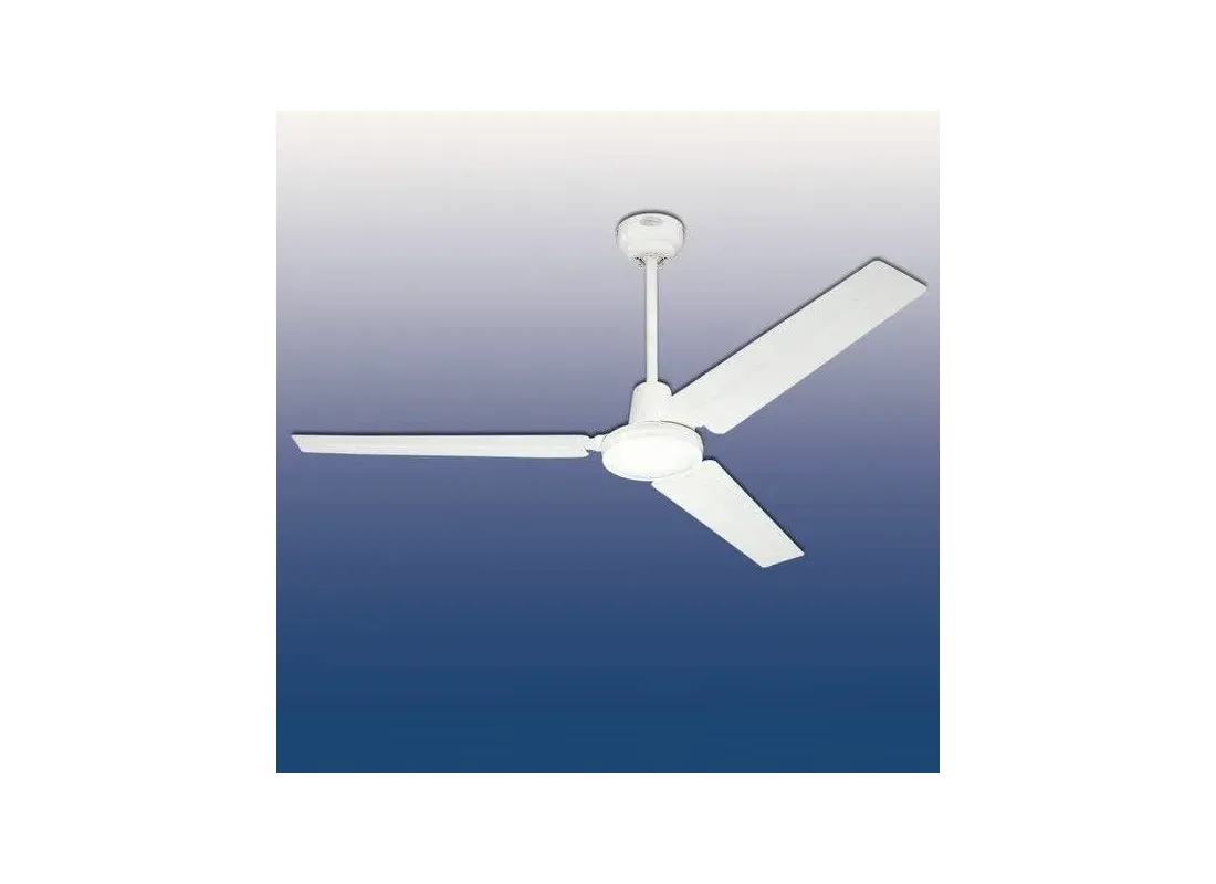 Ceiling fan