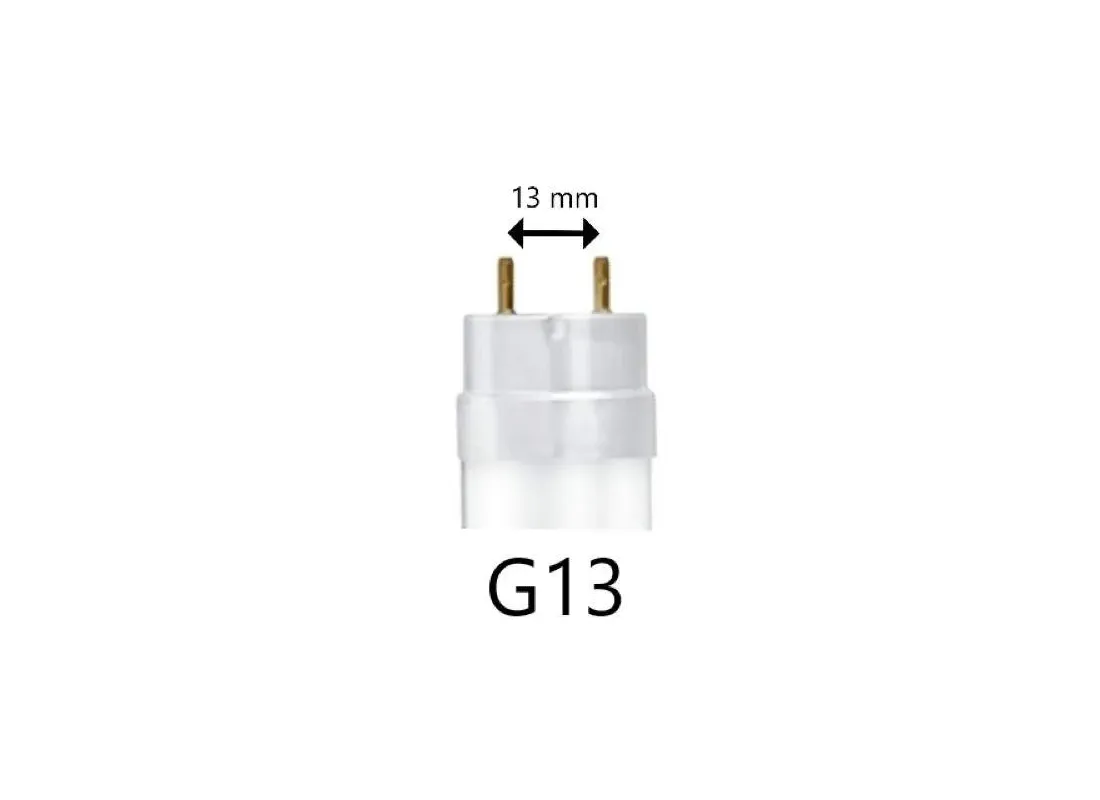 Socket for G13 bulb