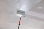 Ceiling and wall paint