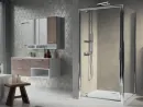 Shower screen