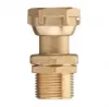 Screw-in brass fitting for meter