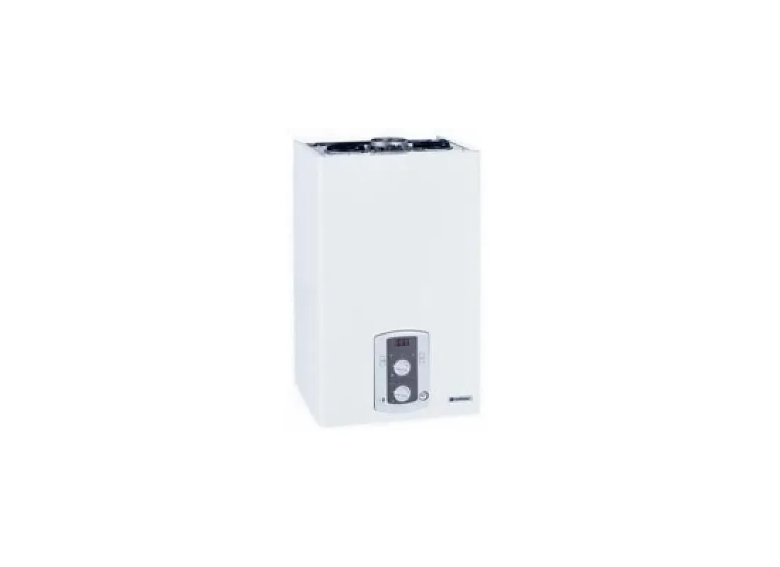 Wall-mounted gas boiler